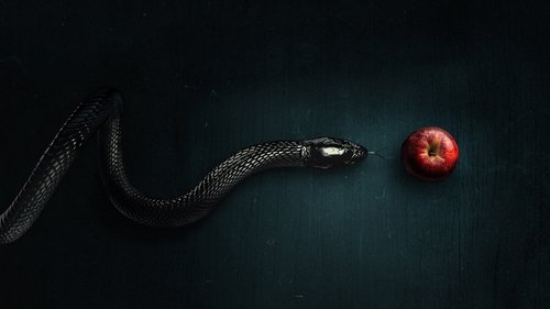 ბოროტება / Evil (ქართულად)