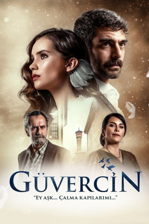 მტრედი / The Pigeon (Güvercin)